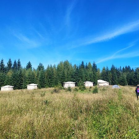 Eco Glamping - Carpathians. Retreat Hub Dzin Space فيرخوفينا المظهر الخارجي الصورة
