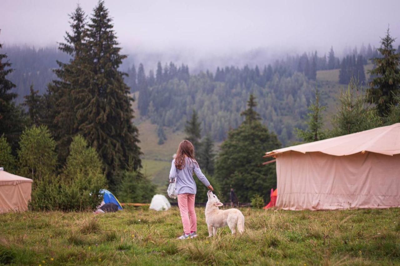 Eco Glamping - Carpathians. Retreat Hub Dzin Space فيرخوفينا المظهر الخارجي الصورة